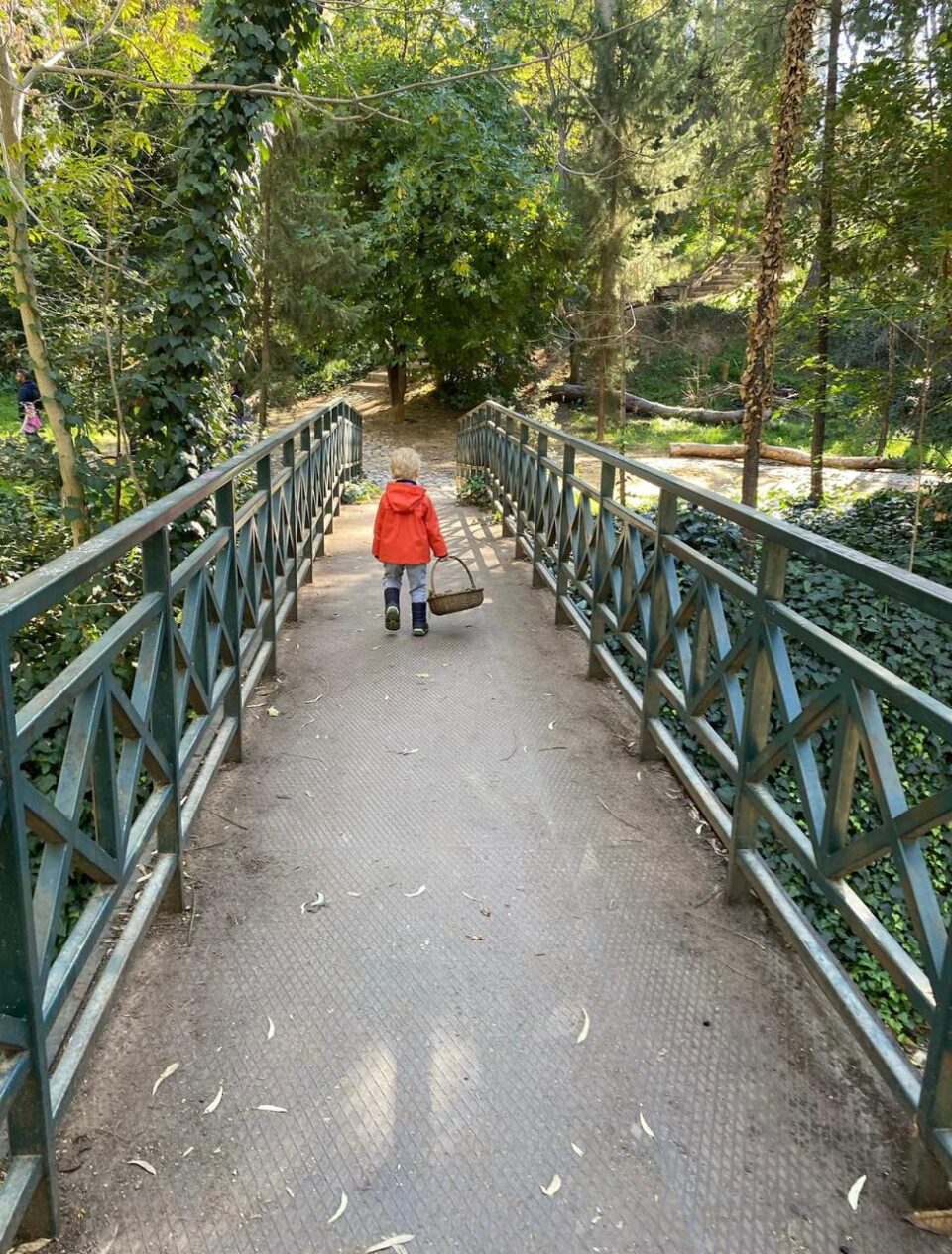 Γιατί τα παιδιά αγαπούν τα έντομα-6