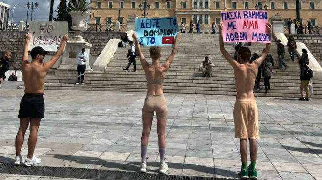 διαμαρτυρία-στο-σύνταγμα-για-τη-θανάτ-564162004