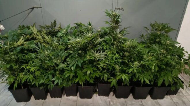 θεσσαλονίκη-47χρονος-είχε-στήσει-εργασ-564168424