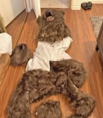 καταδικάστηκαν-οι-αρκούδες-που-προ-564185326