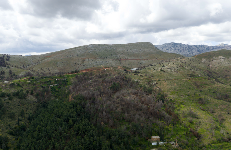 Πίνεις νερό και κάπου φυτρώνει ένα δέντρο-3