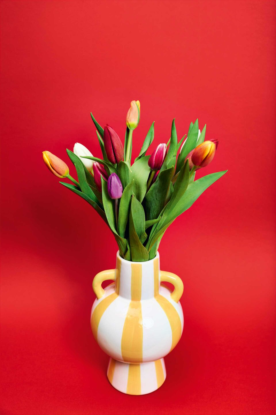 Τι λουλούδια αγοράζουν οι Αθηναίοι;-10