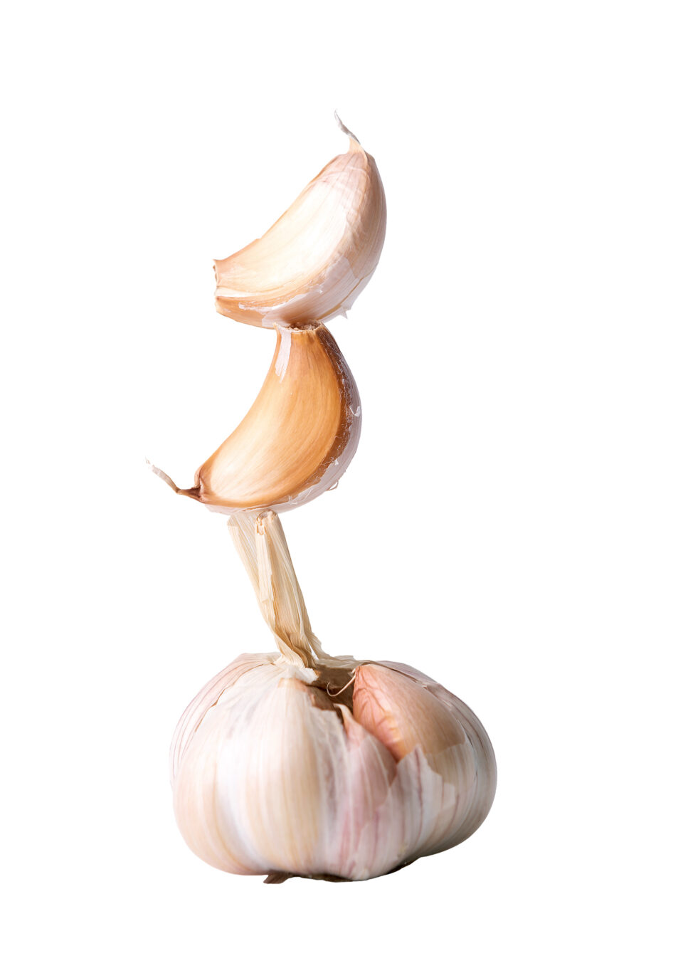 Πίσω από τις κλειστές πόρτες της ελληνικής γαστρονομίας-2