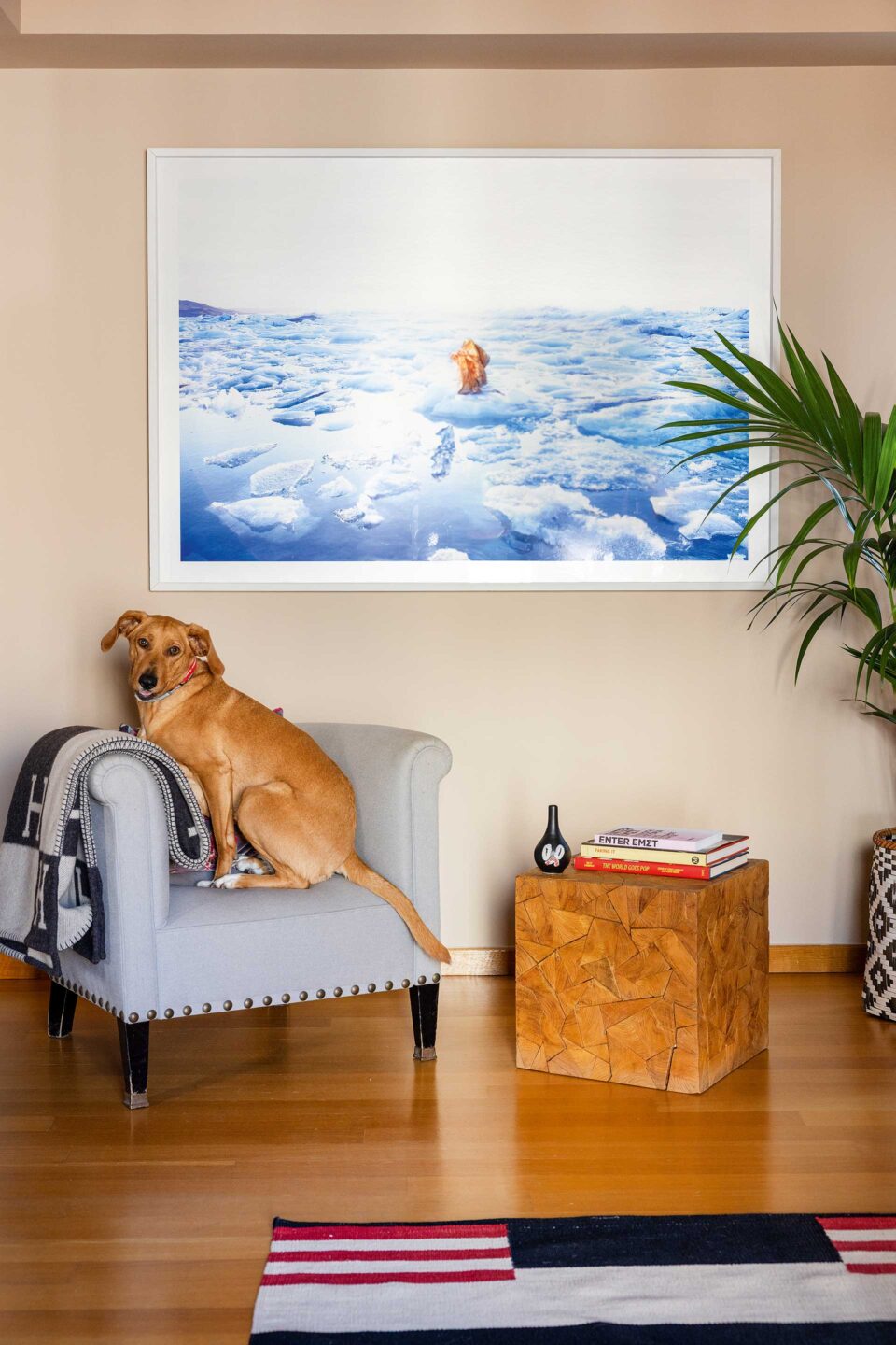 Ενα καθόλου μίνιμαλ σπίτι στο Κολωνάκι-4