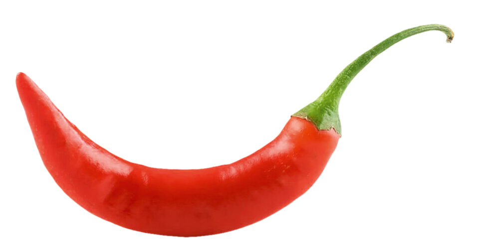 Πίσω από τις κλειστές πόρτες της ελληνικής γαστρονομίας-3