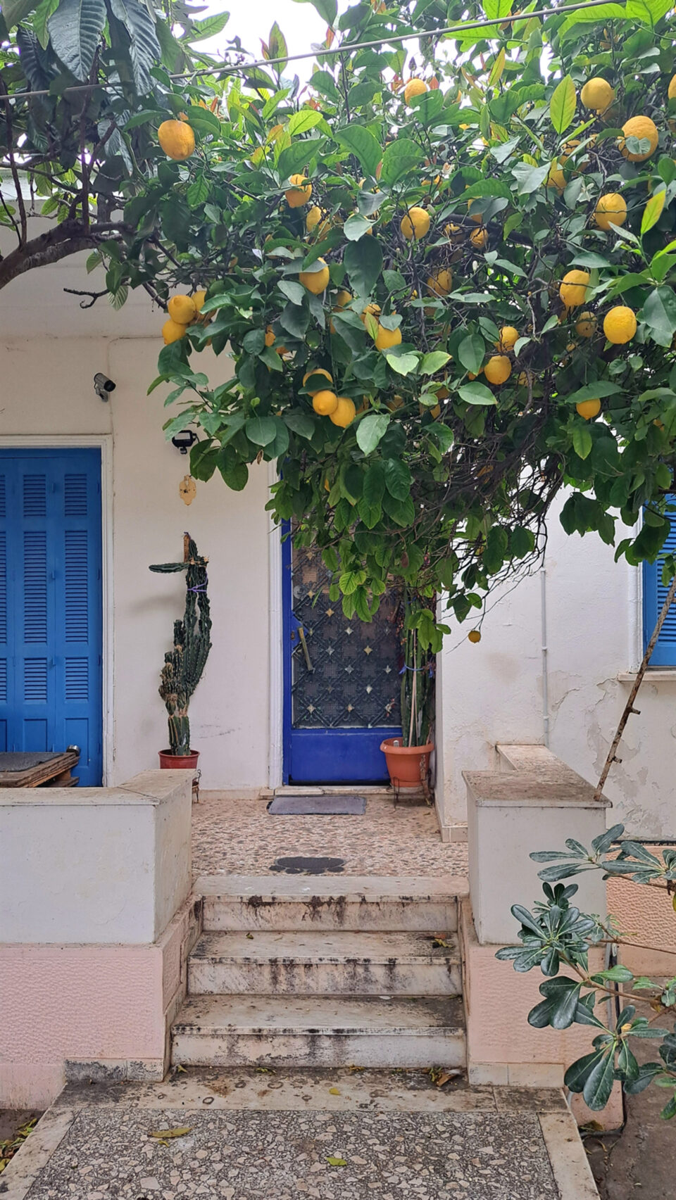 Εκβολές Ιλισού: Ανάμεσα σε Μοσχάτο και Καλλιθέα-1