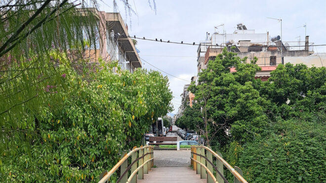 εκβολές-ιλισού-ανάμεσα-σε-μοσχάτο-και-564161569