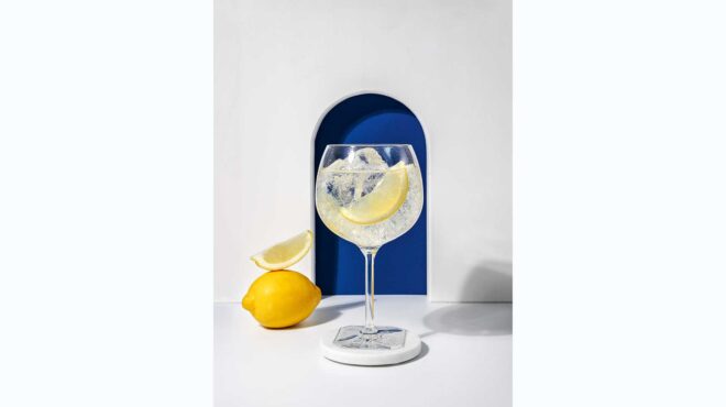 μια-γνωριμία-με-τα-υπέροχα-τζιν-της-ιαπ-564190336