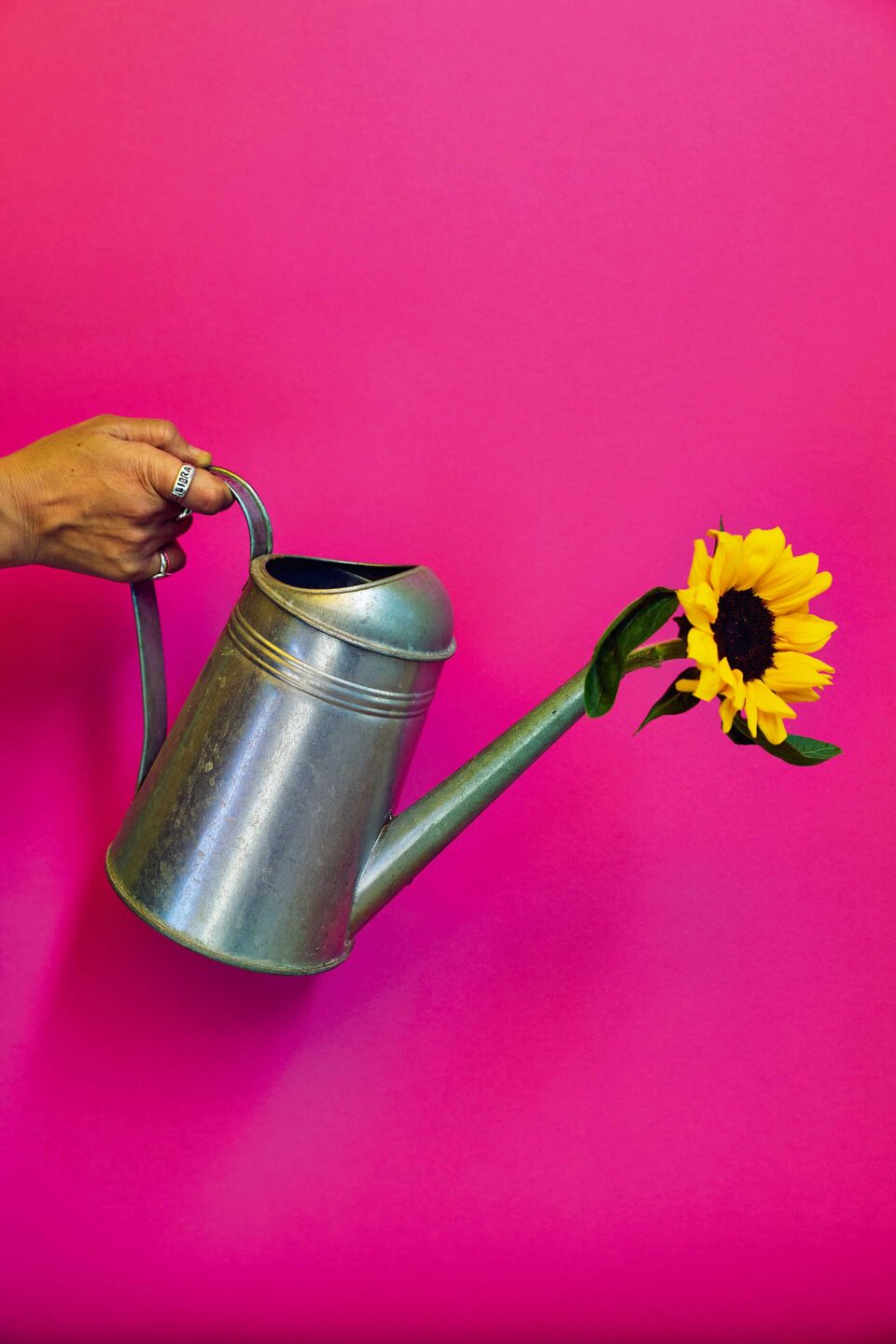 Τι λουλούδια αγοράζουν οι Αθηναίοι;-12