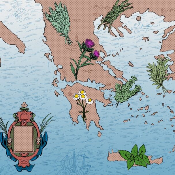 οι-υπερτροφές-του-ελληνικού-αγρού-564161194