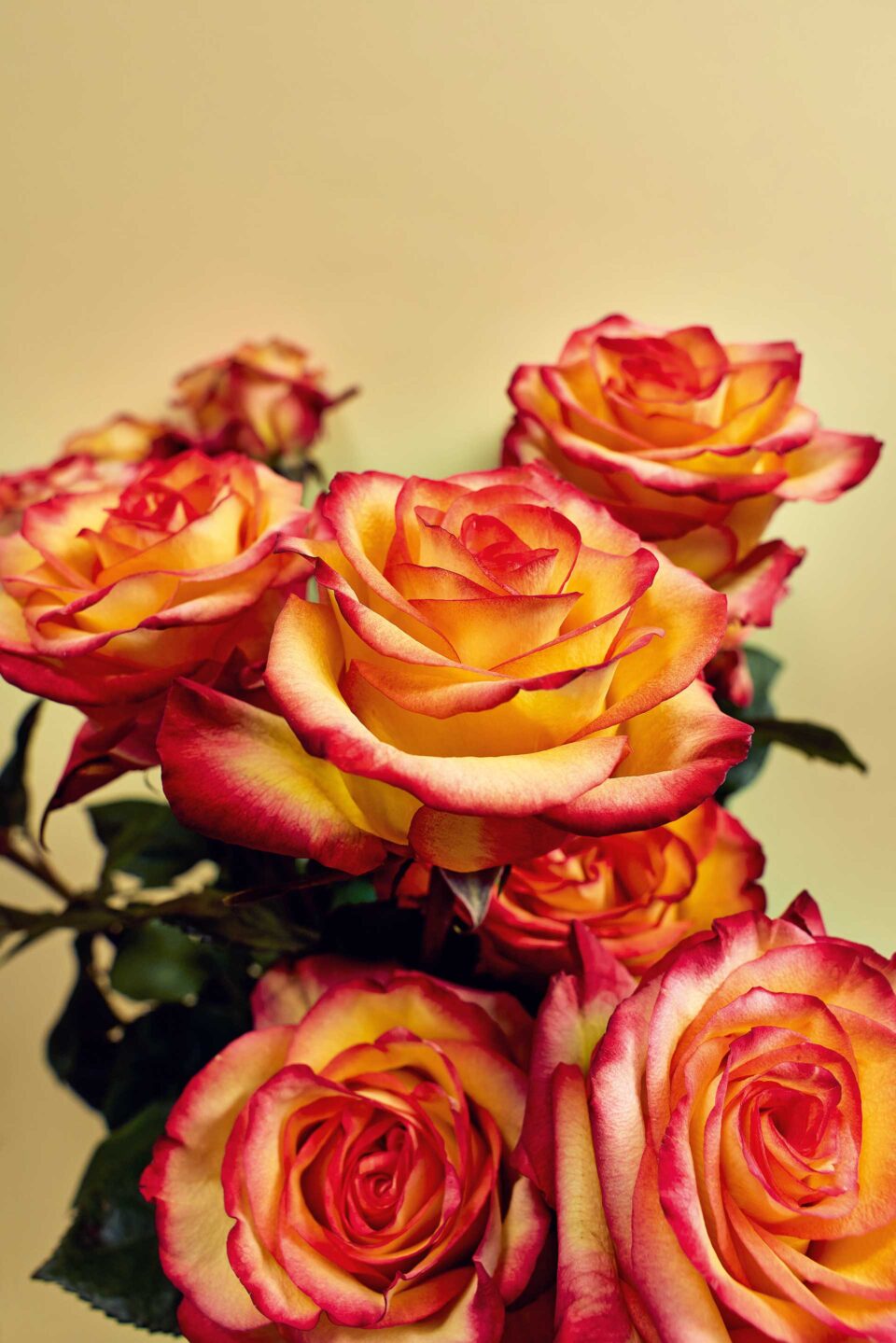 Τι λουλούδια αγοράζουν οι Αθηναίοι;-6