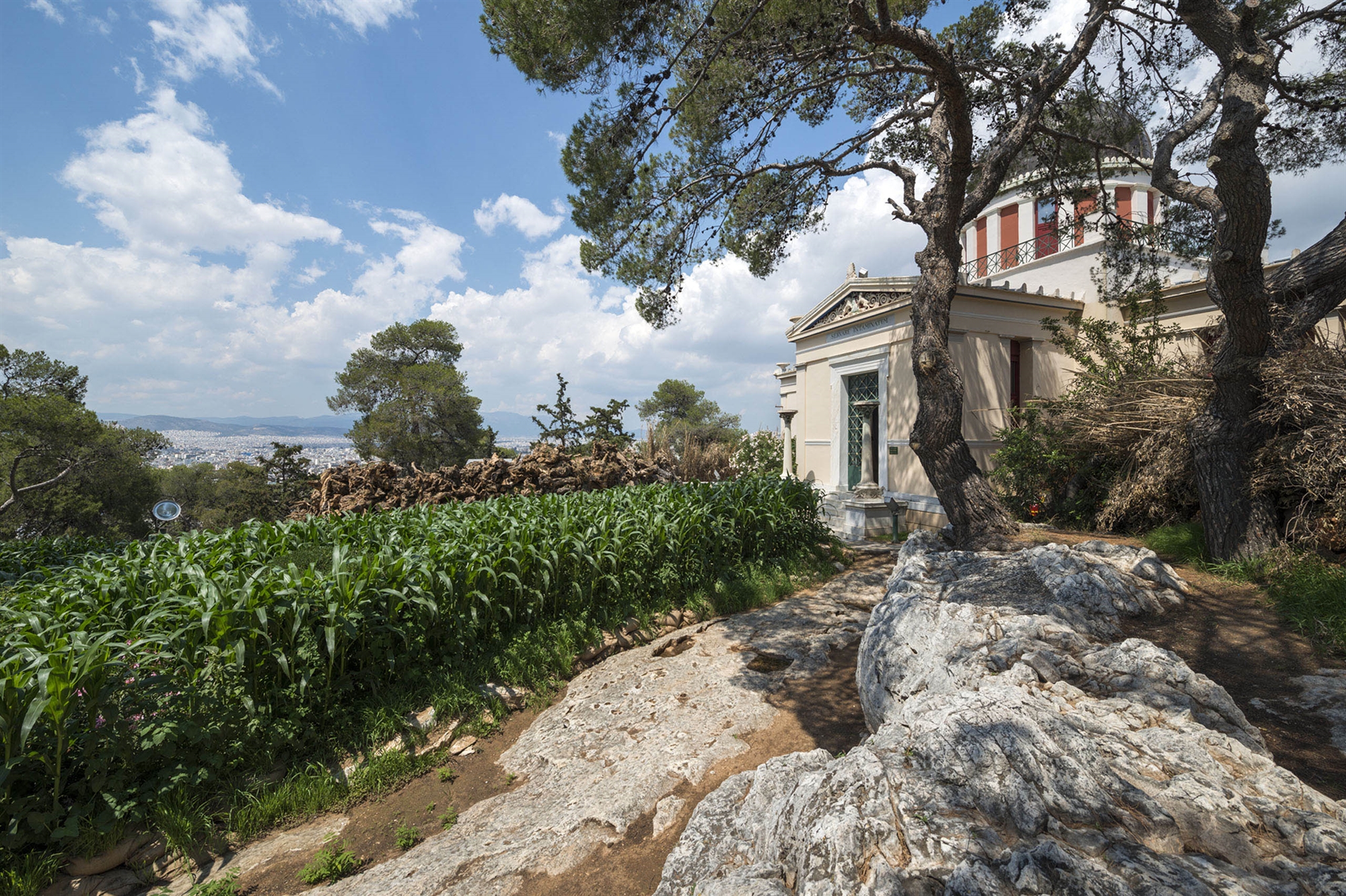 Αντίο ΝΕΟΝ. Ησουν ο φίλος που μας πήγε μια μαγική βόλτα παρέα με την τέχνη-3