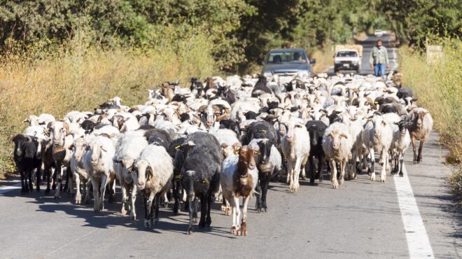 σκάνδαλο-οπεκεπε-οι-συνομιλίες-για-τη-564155332