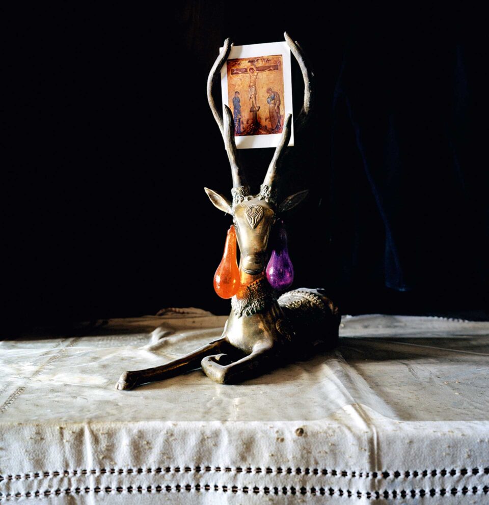 «Η ζωή δεν θα νικηθεί από το κακό»-7