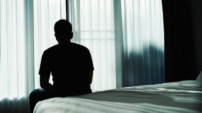 η-αλεπού-που-φωλιάζει-και-εντός-μας-564178183