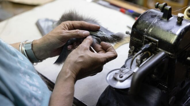 πόλεμος-ξανά-για-τη-γούνα-564181363