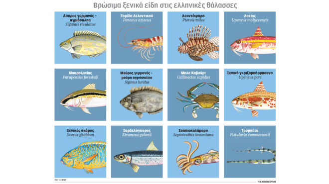 οδηγός-για-τον-βυθό-αγνοούμε-κρίσ-564189625