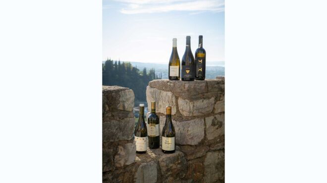 δεν-είναι-μόνο-το-ασύρτικο-12-ελληνικά-λ-564167425