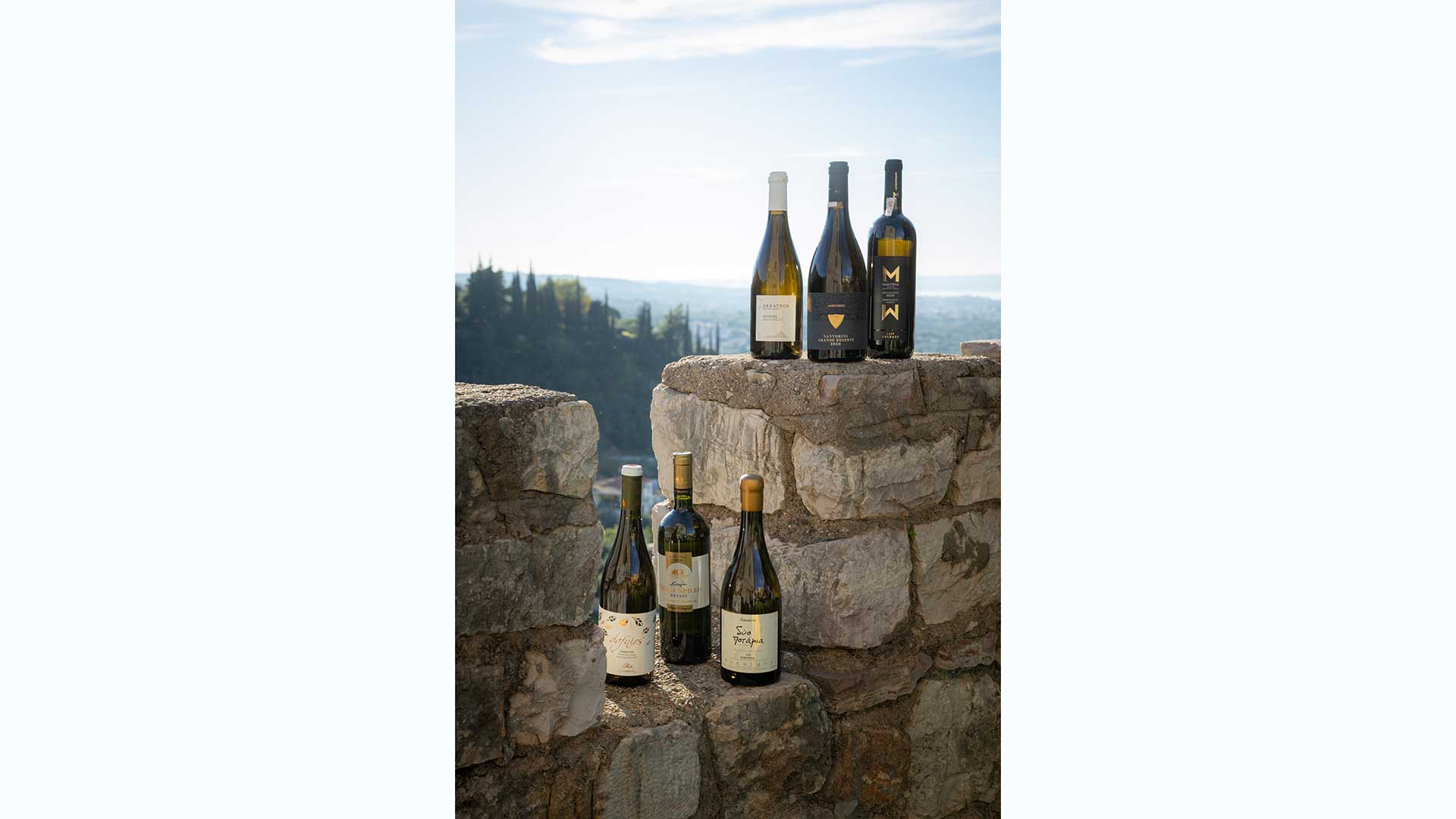 δεν-είναι-μόνο-το-ασύρτικο-12-ελληνικά-λ-564167425