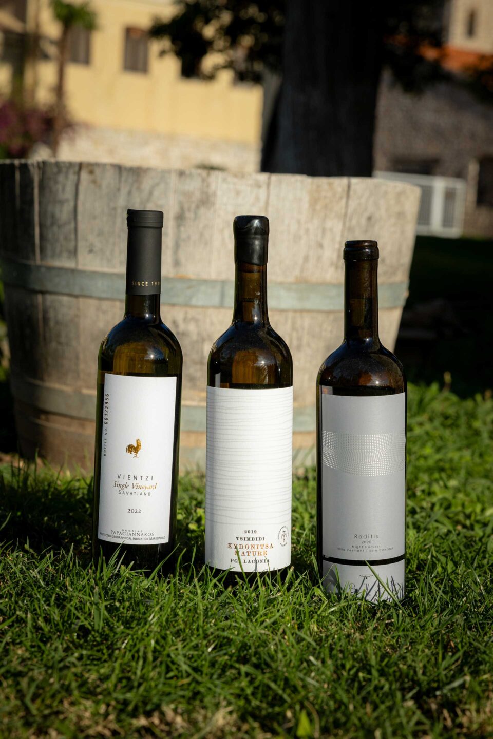 Δεν είναι μόνο το Ασύρτικο: 12 ελληνικά λευκά που παλαιώνουν εντυπωσιακά-1