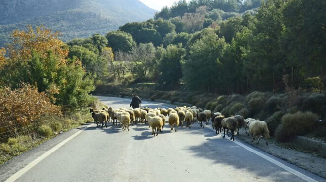 τρεις-νέες-καυτές-υποθέσεις-στη-δικογ-564157372