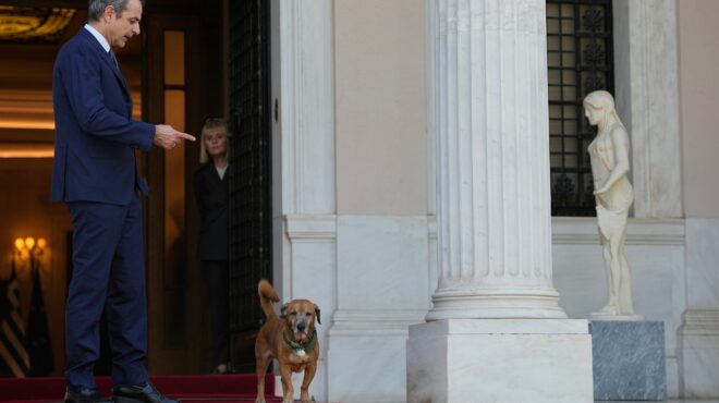 τι-προσπαθεί-να-αλιεύσει-η-τουρκία-564195076