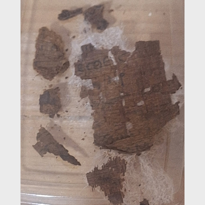 Ιστορική ανακάλυψη στην Αίγυπτο: Βρέθηκε πάπυρος με στίχους της «Ιλιάδας» μέσα σε μούμια-1