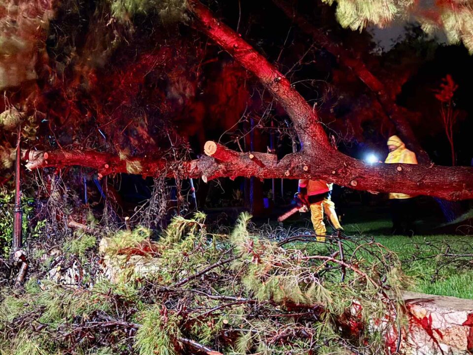 Πάνω από 30 πτώσεις δέντρων στον Δήμο Βάρης-Βούλας-Βουλιαγμένης-2