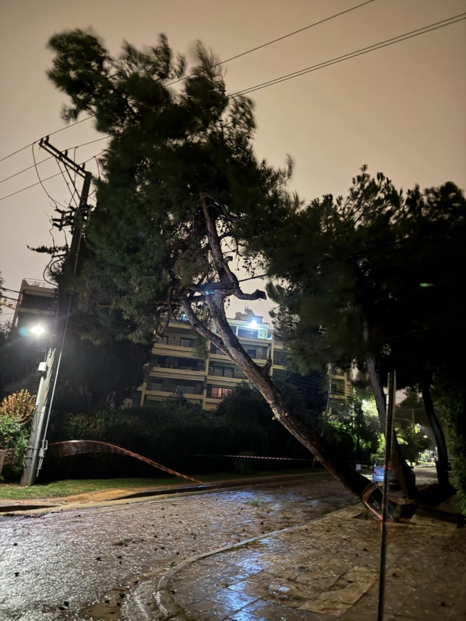 Πάνω από 30 πτώσεις δέντρων στον Δήμο Βάρης-Βούλας-Βουλιαγμένης-1