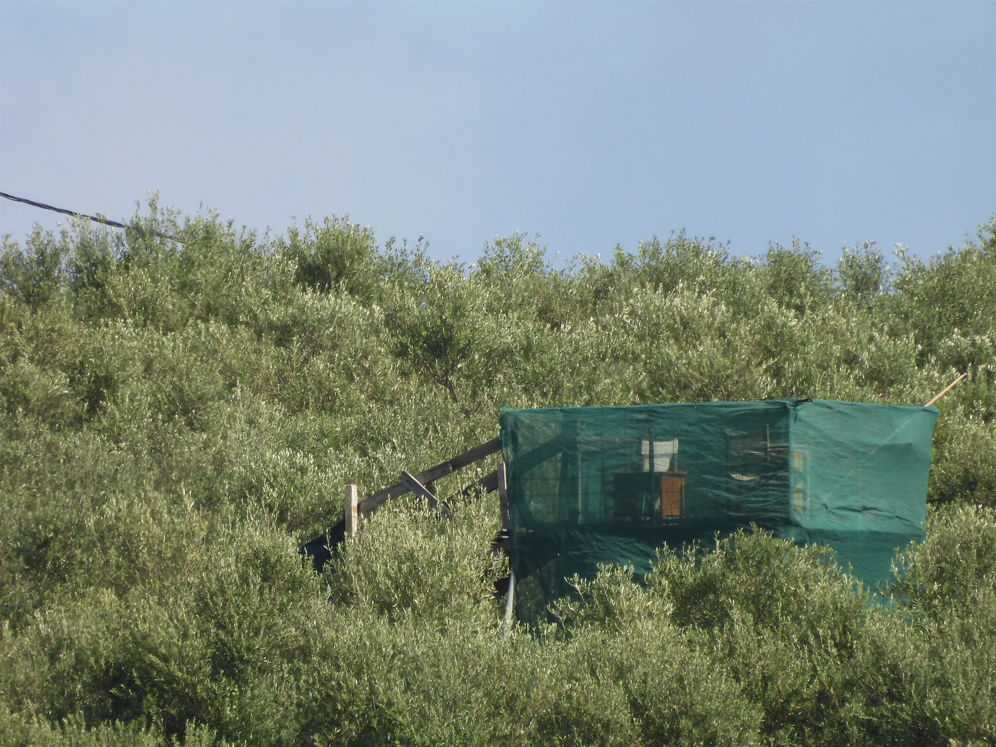 «Κυνηγώντας» τους λαθροθήρες-1