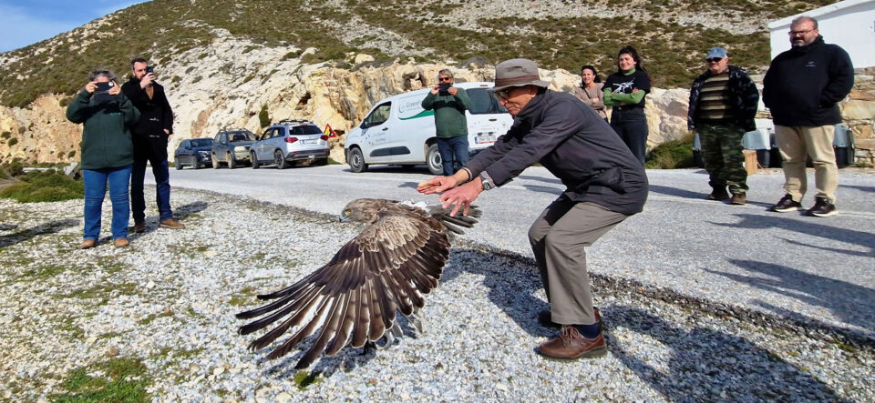 Το νέο πέταγμα προς την ελευθερία-2