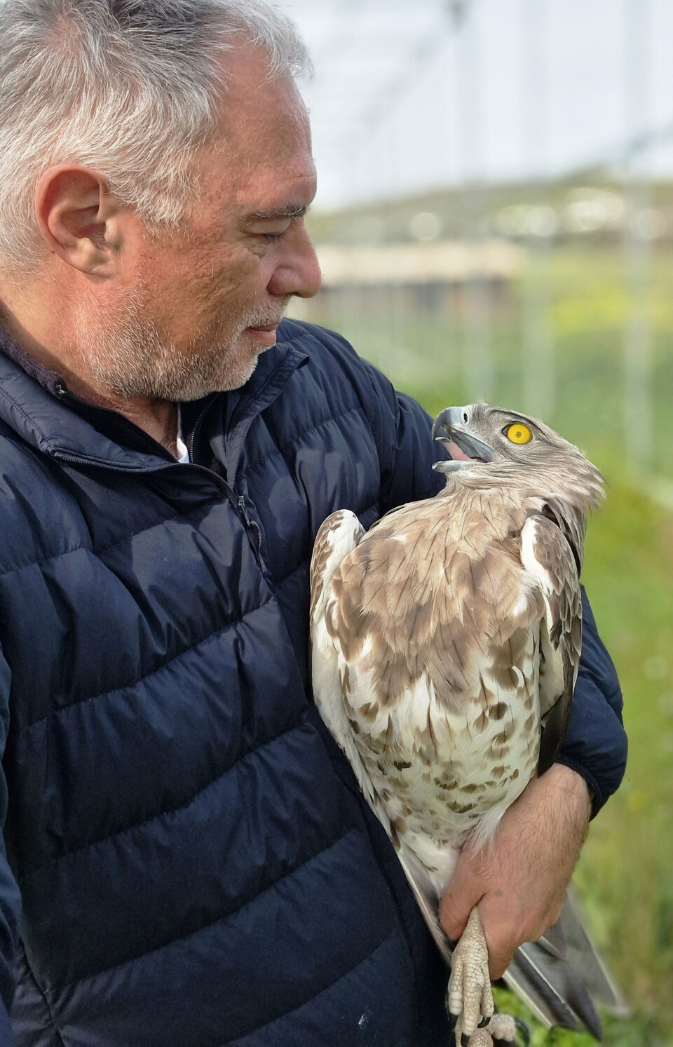 Το νέο πέταγμα προς την ελευθερία-4