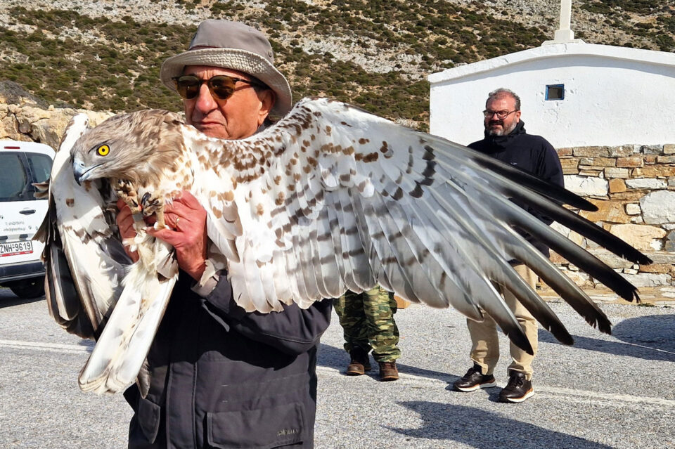 Το νέο πέταγμα προς την ελευθερία-1