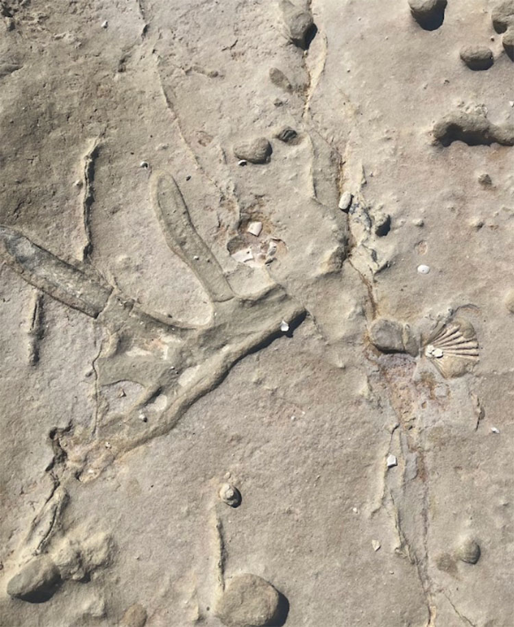 Πότε θα κλείσει το σκάμμα στη Μήλο;-4