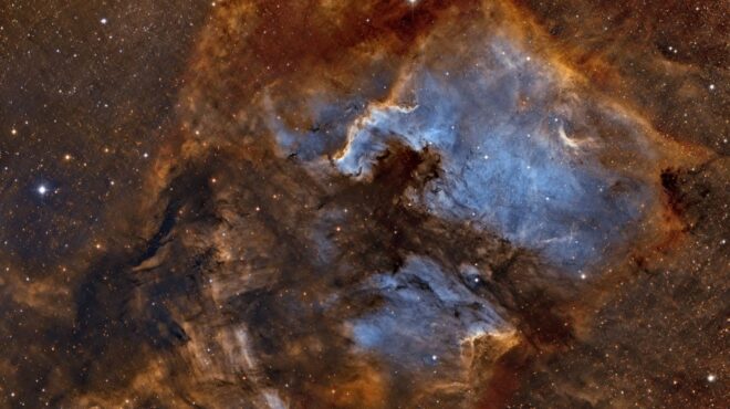 nεφέλωμα-βόρειας-αμερικής-ngc-7000-564159082