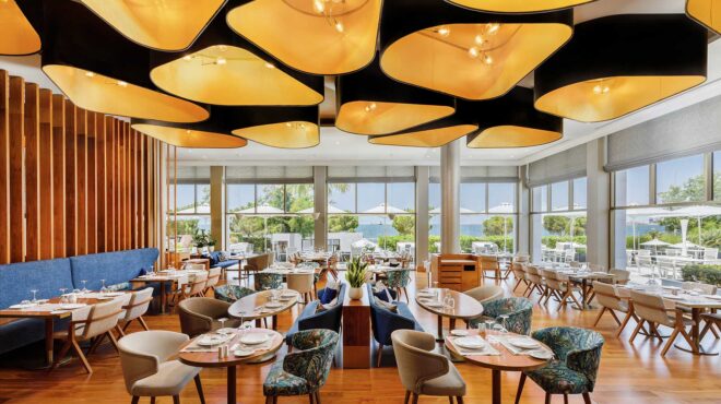 θεσσαλονική-το-συνειδητό-λαϊκό-γκο-564156016