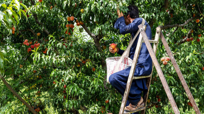 μέχρι-το-τέλος-ιουνίου-οι-αιτήσεις-για-564194614