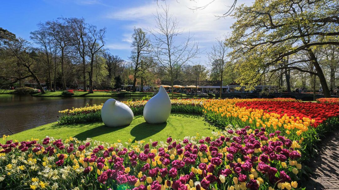 ανοιξιάτικες-εξορμήσεις-από-τον-υμητ-564175864