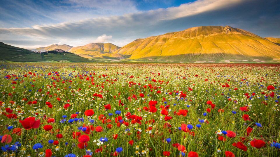 Ανοιξιάτικες εξορμήσεις από τον Υμηττό μέχρι την Ολλανδία-2