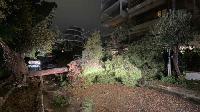 πάνω-από-30-πτώσεις-δέντρων-στον-δήμο-βά-564156685