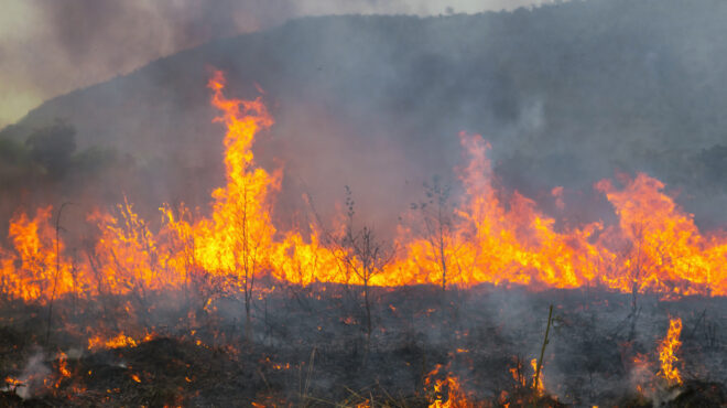 εύβοια-συνελήφθη-56χρονος-για-πρόκληση-564183010