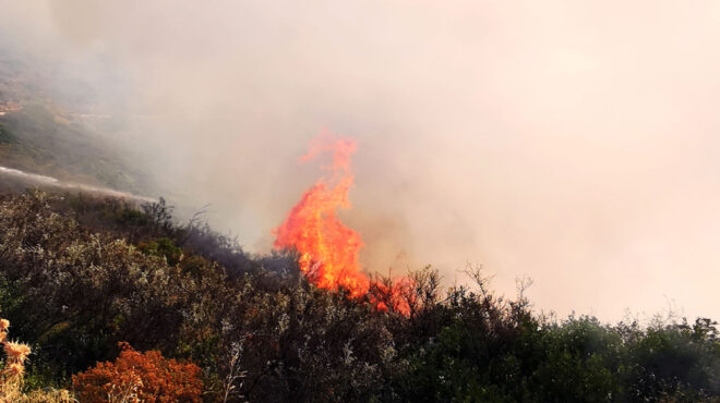 ηλεία-φωτιά-στην-περιοχή-λέπρεο-επι-564185740