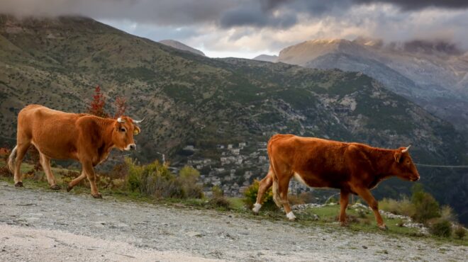 υπαατ-προειδοποίηση-για-απόπειρες-τη-564198256