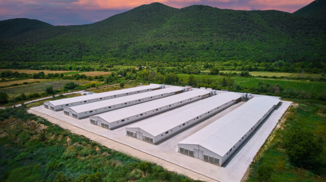 επένδυση-της-μηρ-στη-νιτσιάκος-με-σταδ-564258691