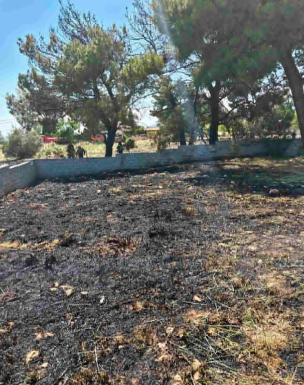 Συνελήφθη 89χρονος για τη φωτιά στο Κρυονέρι – [Εικόνες και Βίντεο]-1
