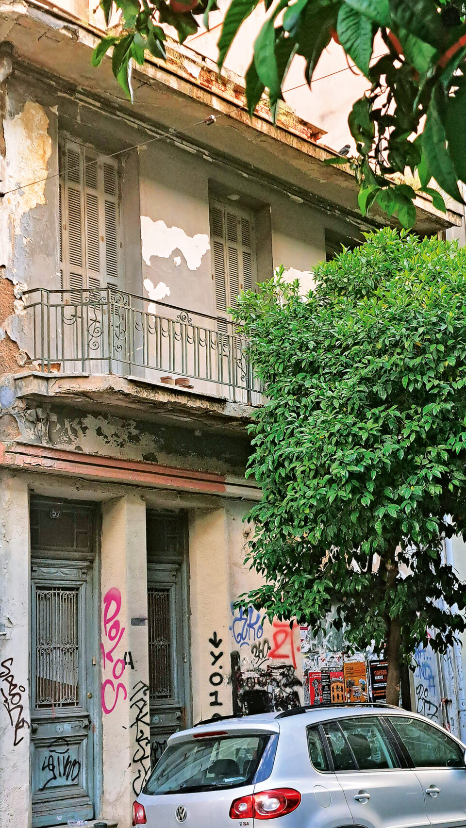 Κουκάκι: Ποικιλία ζωής γύρω από τη Βεΐκου-2
