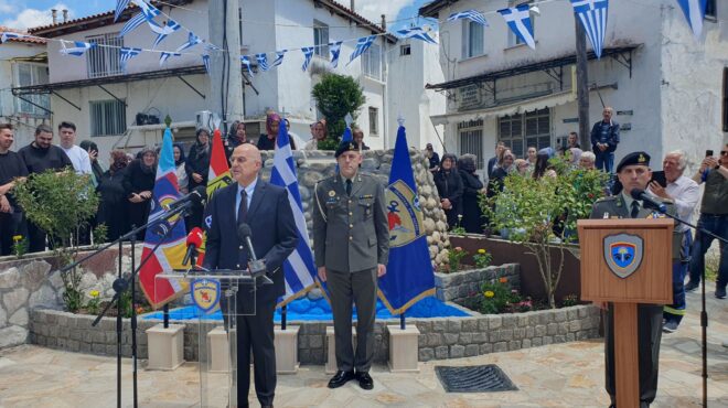δένδιας-από-ξάνθη-αναπόσταστο-κομμάτ-564224479