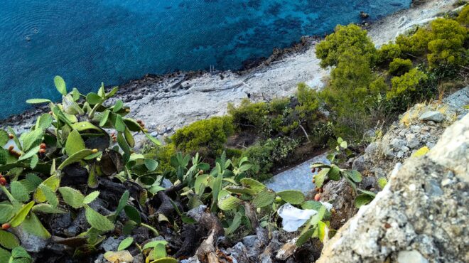 λευκάδα-σορός-άνδρα-εντοπίστηκε-στο-π-564250978