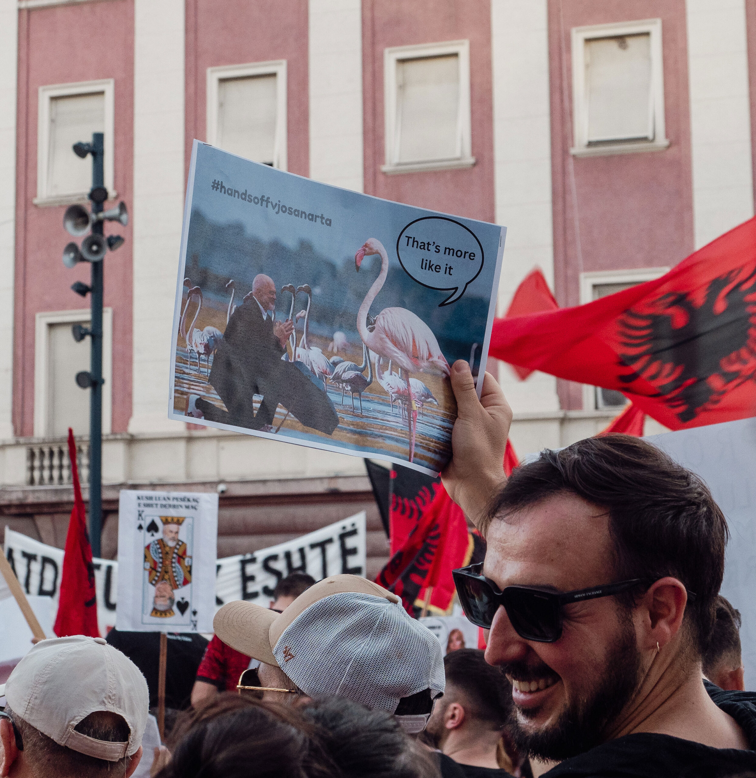επανάσταση-των-φλαμίνγκο-στα-σχέδι-564291223