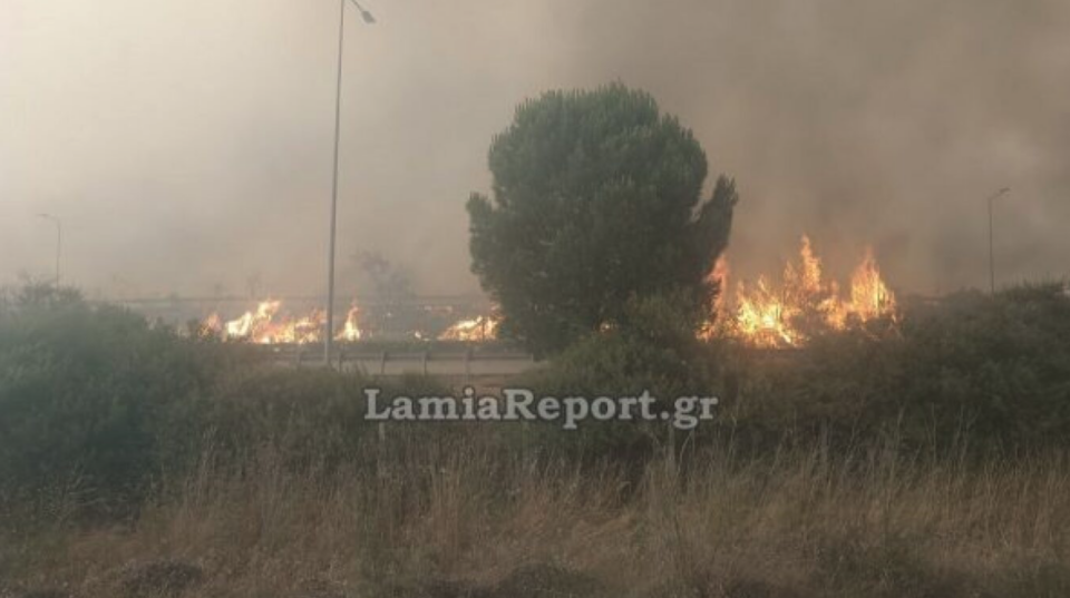 Φωτιά στο Ακραίφνιο Βοιωτίας – Ανοιξε η εθνική οδός-2